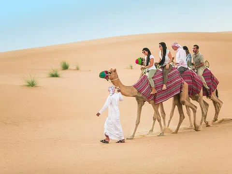 Sa mạc Safari có thú vị như lời đồn