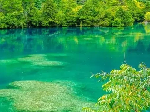 Top 15+ Địa Điểm Du Lịch Cửu Trại Câu Hot Nhất 2025 [MỚI UPDATE]