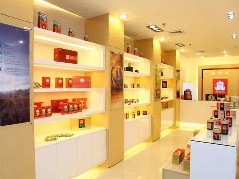 Trung tâm nhân sâm Chính Phủ: Tìm hiểu quy trình chăm sóc và trồng nhân sâm chính hãng