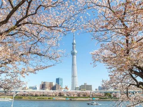 Tháp Tokyo Skytree - Khám phá tòa Tháp Truyền hình cao nhất Thế giới 