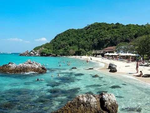 Đảo Coral Pattaya (Koh Larn) - Thiên đường san hô dưới hạ giới