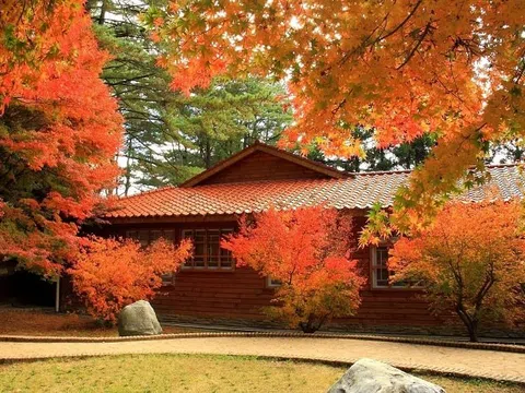 Đài Loan mùa lá đỏ: Khung cảnh thơ mộng làm say đắm lòng người  