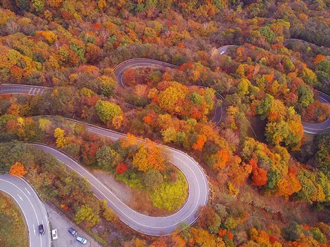 Vi vu Cung Đường Vàng Nhật Bản trong tiết trời mùa thu 