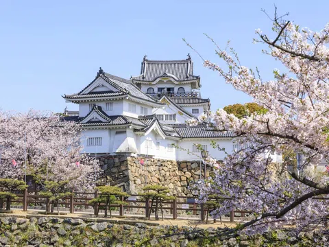 10 địa điểm ngắm hoa anh đào ở Osaka nhất định ghé thăm ít nhất một lần