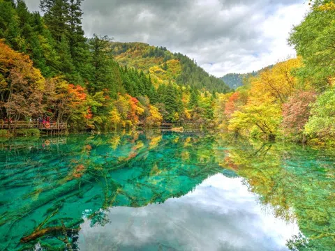 Hồ Trường Hải sở hữu vẻ đẹp ngọt ngào vô cùng quyến rũ