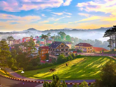 Cẩm nang du lịch Đà Lạt - khám phá thành phố ngàn hoa xinh đẹp