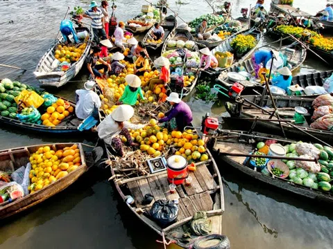 VỀ THĂM ĐẤT CHÍN RỒNG (TP.HCM - BẾN TRE - CẦN THƠ)