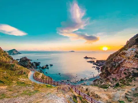 HÀNH TRÌNH KHÁM PHÁ ĐẤT VÕ TÂY SƠN - TÔI THẤY HOA VÀNG TRÊN CỎ XANH (TPHCM - QUY NHƠN - PHÚ YÊN)