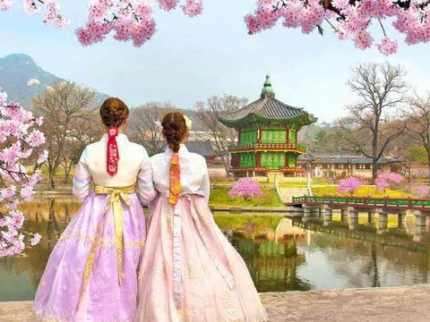 SEOUL, MÙA HOA ANH ĐÀO (HÀN QUỐC)