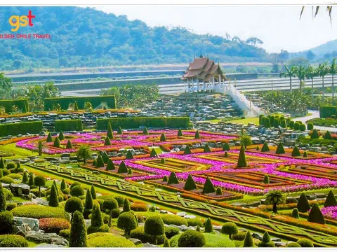 HÀNH HƯƠNG CÔNG GIÁO (THÁI LAN)