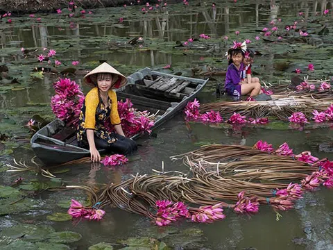 XỨ TRÀM THƠM - CÁNH ĐỒNG BẤT TẬN (LONG AN)