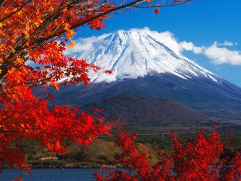 PHÙ TANG LƯỢC KÝ (KHÁM PHÁ NHẬT BẢN 5N4Đ) NATRIA - TOKYO - NÚI PHÚ SĨ