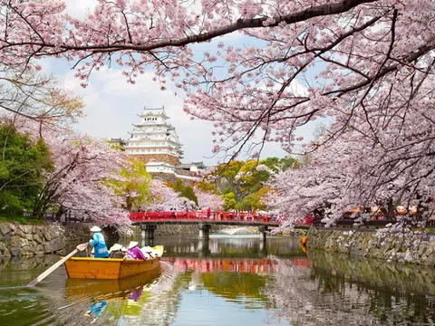 TOUR NHẬT BẢN 6N5Đ | PHÙ TANG LƯỢC KÝ | MÙA HOA ANH ĐÀO