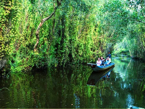 TOUR LONG AN 1N | XỨ TRÀM THƠM | CÁNH ĐỒNG BẤT TẬN