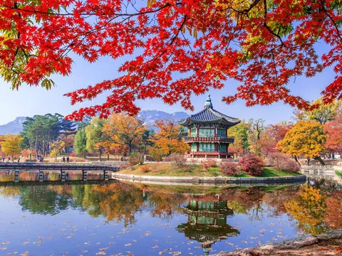 TOUR HÀN QUỐC 5N4Đ | ANNYEONGHA – SEOUL MÙA THU | SEOUL - ĐẢO NAMI - EVERLAND