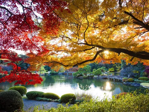 TOUR NHẬT BẢN 5N4Đ | PHÙ TANG LƯỢC KÝ  | TOKYO - YAMANASHI - FUJI – AEON MALL NARITA
