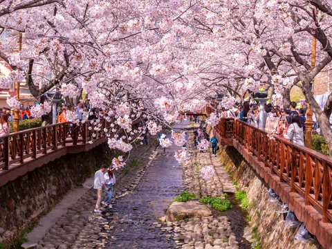 TOUR HÀN QUỐC 4N4Đ | ANNYEONGHA – SEOUL | SEOUL – ĐẢO NAMI – EVERLAND